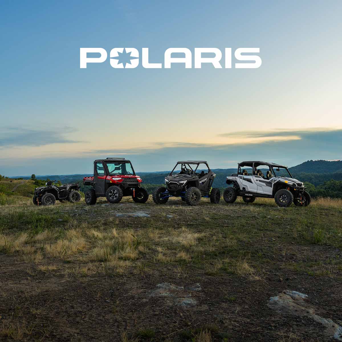 Polaris Austria: Polaris Austria